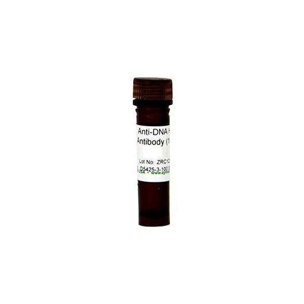 Anti-DNA HRP Antibody, 100X, 200 ul